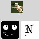 网站ico如何替换啊? icon