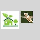 QQ登陆get_openid失败是怎么回事? icon