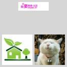 关于这段代码的疑惑 icon