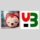 BAE nginx 反向代理配置 icon