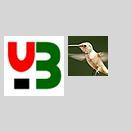 YOUBBS非常不好的一点就是Upload和avatar没有按日期归类而是按userid归类 icon
