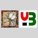 SSDB:一个新兴的数据库 icon