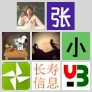 golang 在中国最受欢迎 icon