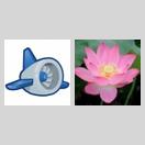 请问可以设置主版块和子版块吗? icon