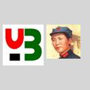 请问下哪里修改主题 icon