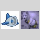 sae版本的能不用又拍云吗 icon